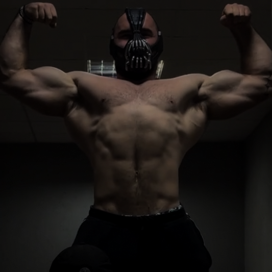 Bane Mask